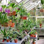 Kış Bahçesi Firmaları